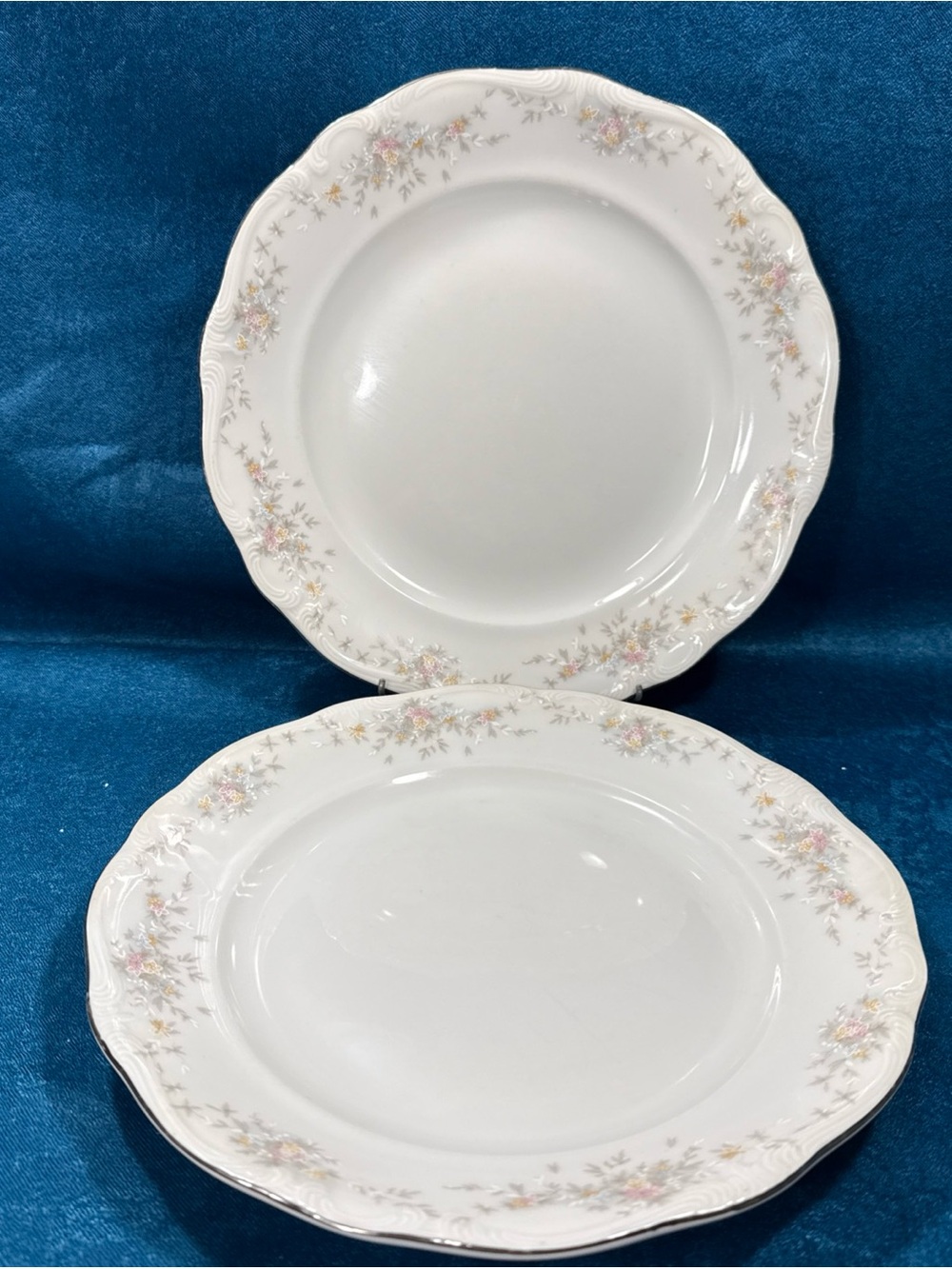 Pair of Johann Haviland Bavaria Germany 9.75” Dinner Plates Floral Splendor